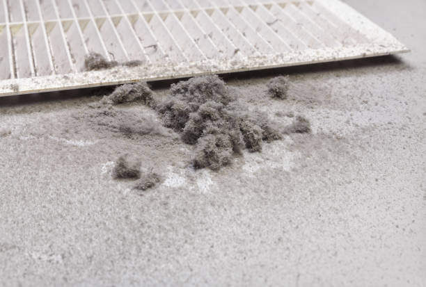 Best HVAC Duct Inspection Services  in Denver, PA
