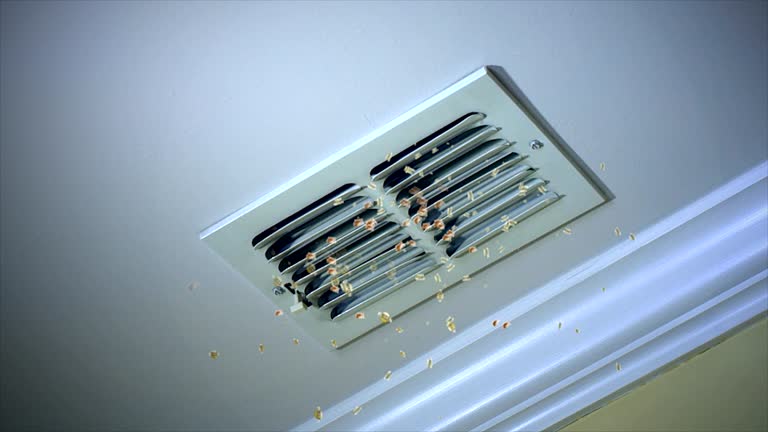 Best Dryer Vent Cleaning Services  in Denver, PA