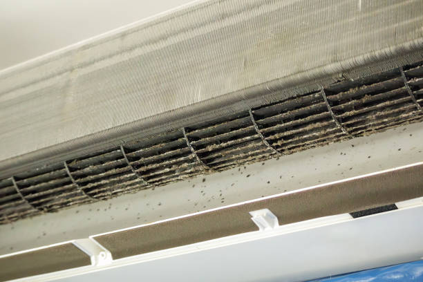 Best Affordable Duct Cleaning Services  in Denver, PA